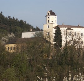 Hrad Malenovice