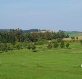 Golf Club Radíkov