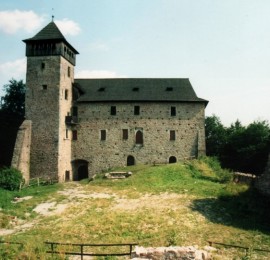 Hrad Litice