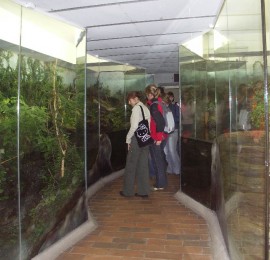 Krkonošské muzeum ve Vrchlabí