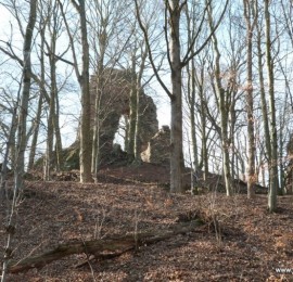 Zřícenina hradu Bradlec
