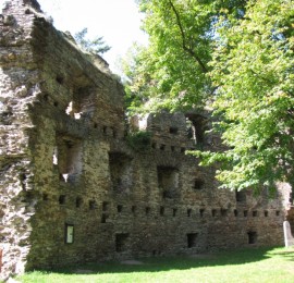 Zřícenina hradu Dalečín