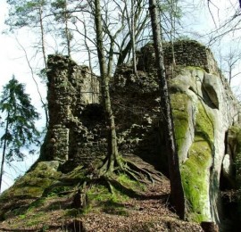 Zřícenina hradu Pařez